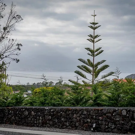 Al Pico Monte (Azores)